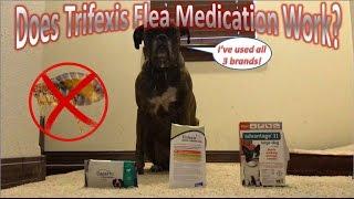 Does Trifexis Flea Medication Work?