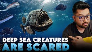 Why DEEP-SEA Creatures Are Coming Out to Surface? Leviathan is Coming?