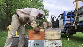 Adding seconds to the Apiary