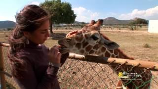 Pachuca, Hidalgo Productora Rincones de mi Tierra