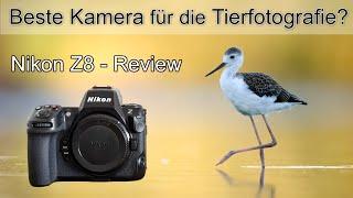 Nikon Z8 REVIEW - Die perfekte Kamera für die Vogelfotografie? (Erfahrungsbericht)