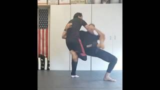 Judo Reaps for MMA #takedowns #mmatraining #judo #martialartstraining