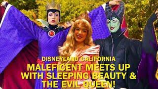 Maleficent Crashes Sleeping Beauty and the Evil Queen’s Meet and Greets at Disneyland! #disney