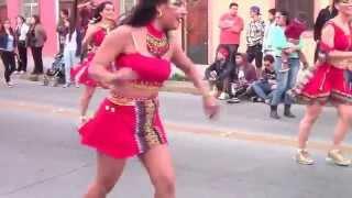 Cultural Carnival in Santiago, Chile (Part 2)