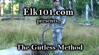 Elk101.com's Gutless Method for Field Processing an Elk