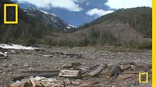 Great Bear Rainforest | National Geographic