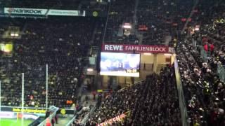 Torjubel zum 1-1 | Borussia Dortmund - Fortuna Düsseldorf | 27.11.12  BVB F95