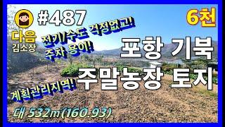 #487 포항 북구 기북면 주말농장 토지 #다음공인중개사 #010-2622-8488 #계획관리지역