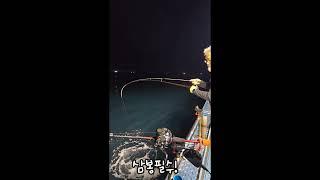 통영현주피싱 한치조황!!! 본시즌 시작입니다 현주피싱은VVVVIP10석 운영하고있습니다 이제북적북적 스트레스받는낚시는그만~인원을줄여 10명만예약받습니다