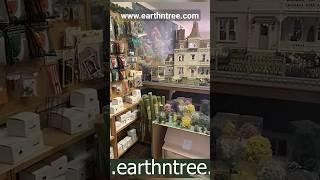 HUGE dollhouse miniature store in New Hampshire #dollhouse #smallbusiness #femaleowned #miniature