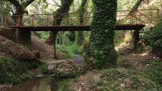 THE RIVER IN THE FOREST┃cinematic video #drone #trailer #cinematic #greece