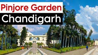 Pinjore Garden | Places to visit Near Chandigarh | Pinjore Garden Chandigarh