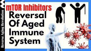 mTOR Inhibitors Human Trials : Reversal Of Aged Immune System