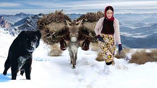 Village Lifestyle Iran: Amazing Cooking & Donkey Riding By A Girl