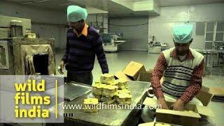 Producing and packaging honey in north India, for export