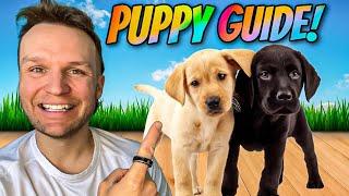 Puppy TRAINING - The FIRST 5 Things To Teach Any Puppy!