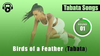 Tabata Songs - "Birds of a Feather (Tabata)" w/ Tabata Timer