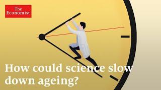 Longevity: can ageing be reversed?