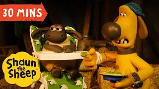 Best Moments 30 MIN Compilation Shaun the Sheep S05