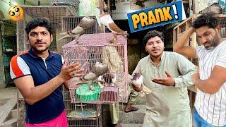 Samad pets Vlog Sy Prank kr DeaBahut Maza Aya