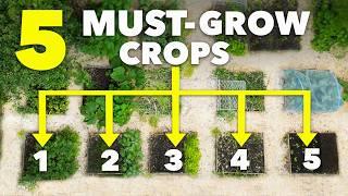 5 Essential Crops Every Gardener Should Grow