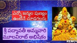 Rare video of Sri Padmavathi Abhishekam, Tirupati