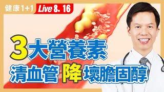 頸部痛、關節痛，可能是膽固醇過高？！清血管有最佳3大營養素；頭部2部位，可看出膽固醇高不高。（2023.08.16）| 健康1+1