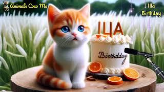 ILLA HAPPY BIRTHDAY SONG WITH NAMES | Adorable Cute Cat 