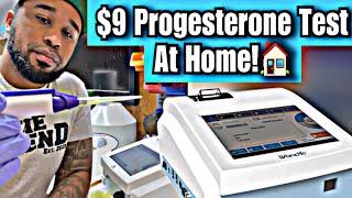 How to progesterone test your dog, $9 a test at home 