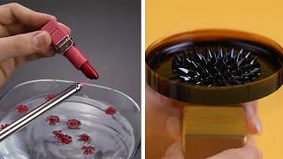 10 Mind Blowing Science Experiments You Can Do at Home! Blossom