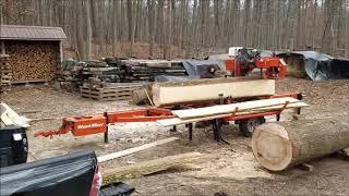 More Donated Poplar