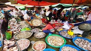 Early Morning Fish Market in Cambodia - Plenty Alive Fish, Seafood, Dry Fish & More - Street Food