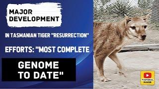 Major development in Tasmanian tiger "resurrection" efforts: "Most complete genome to date"