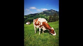 Appenzel Alps (Switzerland) Stunning and breathtaking view