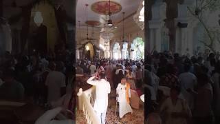 Shyama Aan baso Vrindavan mein #krishnalove #shortcut #travel #bhakti #rohitpk335 #love