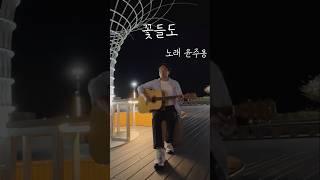 여수밤바다 버스킹~ 꽃들도