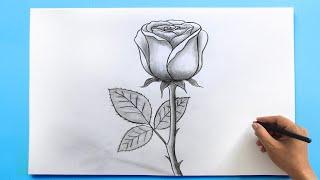 ROSE Drawing Easy | How to Draw a Rose step by step