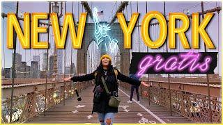 ¡Hicimos todo GRATIS ! Amamos Nueva York ️- MPV en NYC #2