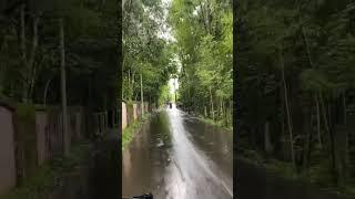 Rain ️ view