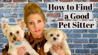 How to Find a Pet Sitter | Tips for Finding a Pet Sitter When you Travel