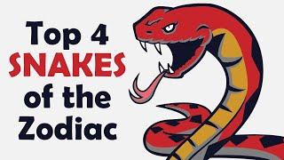 Top 4 Snakes of the Zodiac