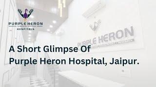 A Short Glimpse Of Purple Heron Hospital, Jaipur