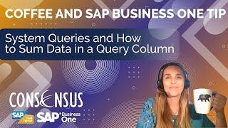 System Queries and How to Sum Data in a Query Column