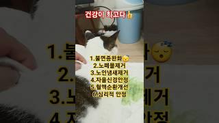 물티슈로 귀뒤를 닦으면 놀라운일 6가지 #건강 #건강정보 #물티슈