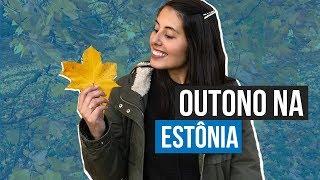 COMO É O OUTONO NA ESTÔNIA  │ GABI VIAJA