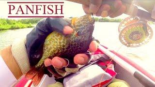 Kayak Fly Fishing for Panfish