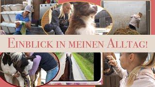 Einblick in meinen Alltag! | VLOG | BinieBo