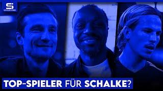 Holt Schalke Unterschiedsspieler? Tempelmann & Matriciani zu teuer? Neuer Hauptsponsor? | S04 NEWS