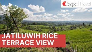 360 video: Rice Fields in Jatiluwih, Bali, Indonesia