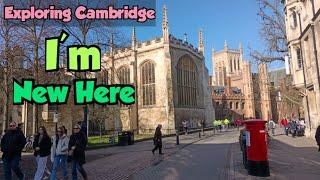 Cambridge Town | Top Colleges in Cambridge UK